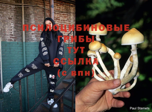 марки lsd Володарск