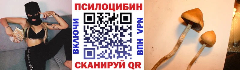 Галлюциногенные грибы Magic Shrooms  Купить закладки  Малоярославец 